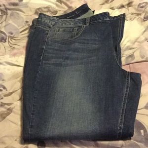 Lane Bryant jeans